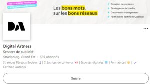 Capture écran profil LinkedIn Digital Artness