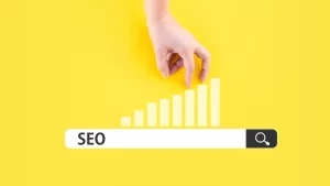image SEO et barre de recherche 