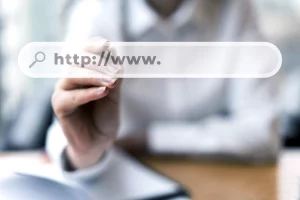 image barre de recherche 